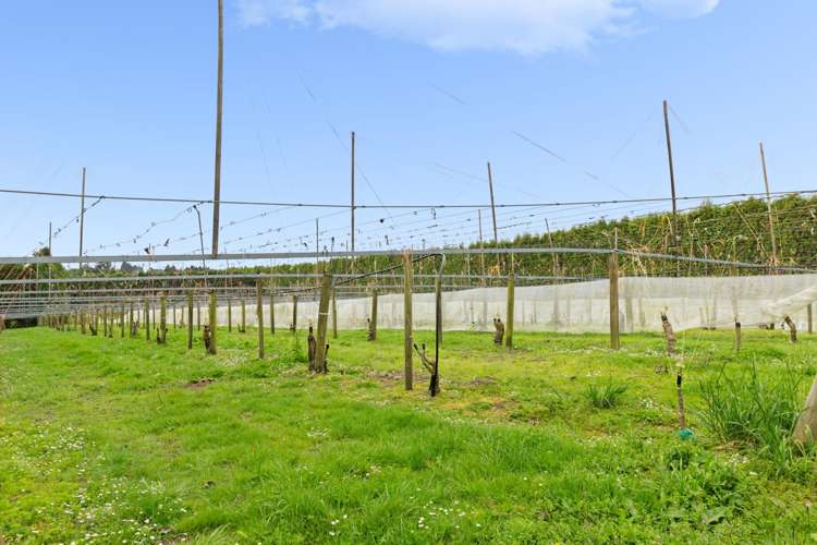 Lot 3/1010 Te Matai Road Te Ranga_2