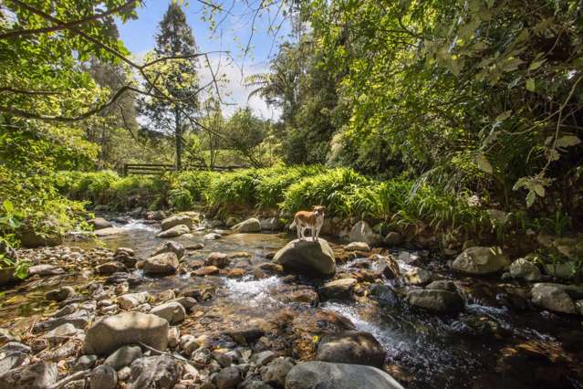 397 Busby Road Hauraki Surrounds_2