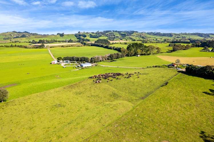 226 Pukearuhe Road Mimi_25