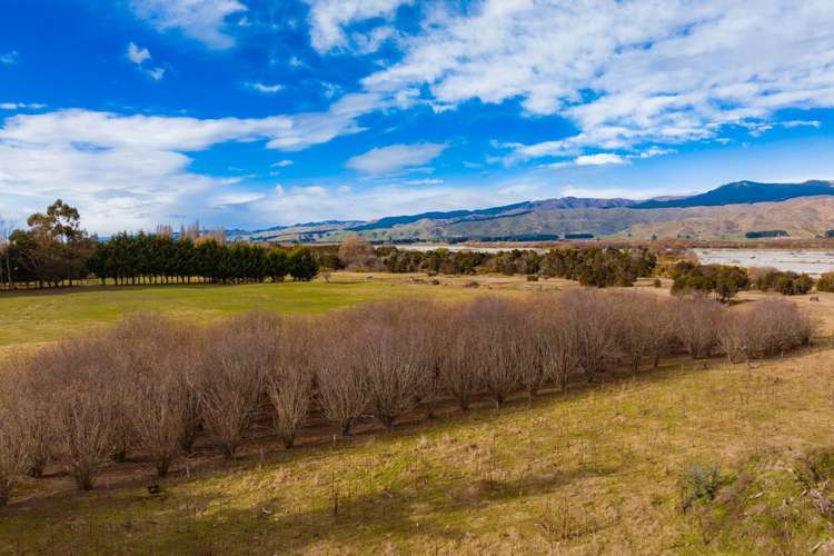 4023 Northbank Road Wairau Valley_30