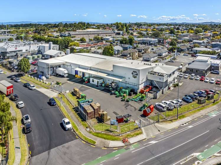 9 Noel Burnside Road_0