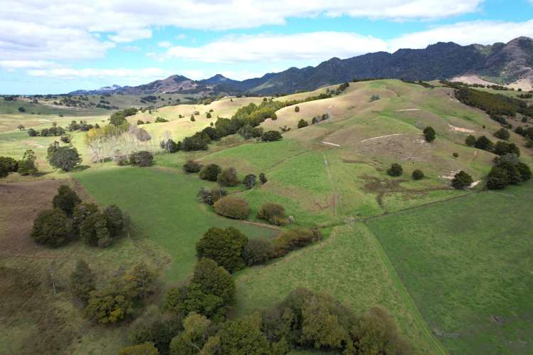 2761 State Highway 14 Whangarei_22