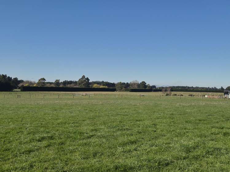 185 McIntoshs Road Fernside_15