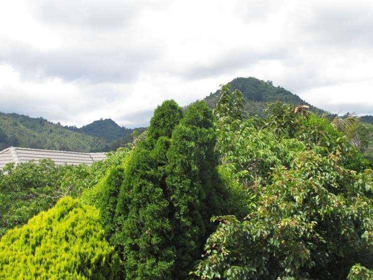 118 Totara Close Thames_25