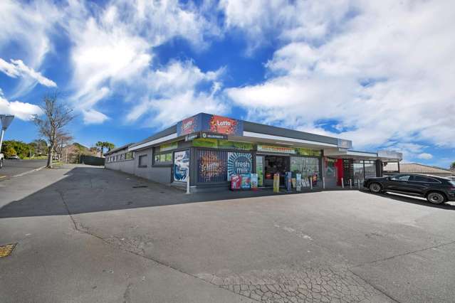 167 Kitchener Road Pukekohe_3