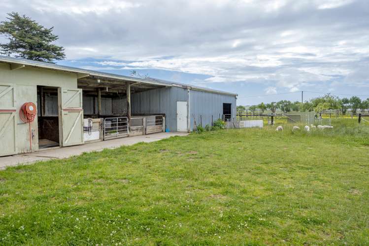 177 Mako Mako Road Levin_17