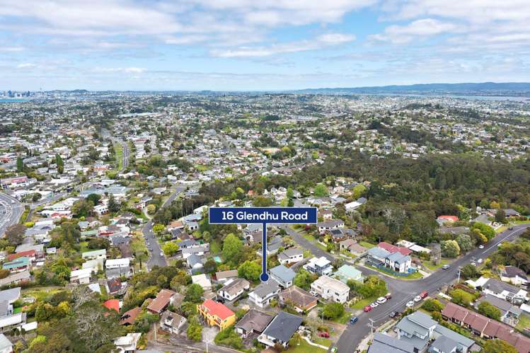16A Glendhu Road Bayview_39