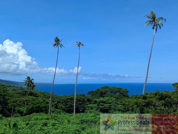 Address withheld Taveuni_15