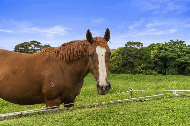 2242 State Highway 26 Morrinsville_38