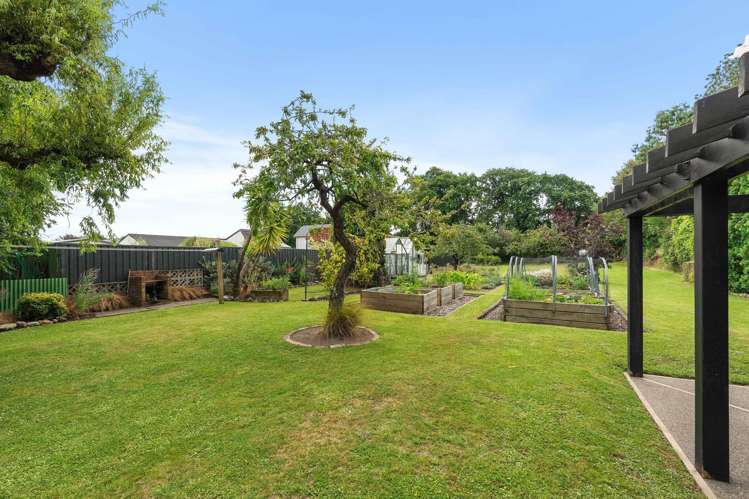 124 West Street Greytown_20