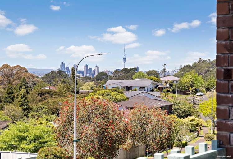 139 Chelsea View Drive Chatswood_13