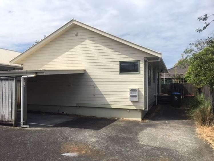 29b Oakley Avenue Waterview_0