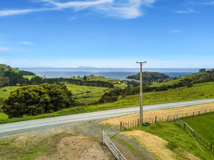 26 Cape Rodney Road Leigh_12