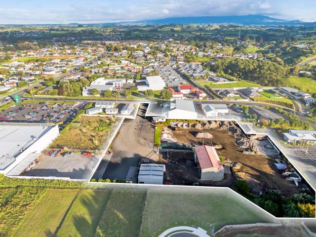 Strategic Industrial Investment