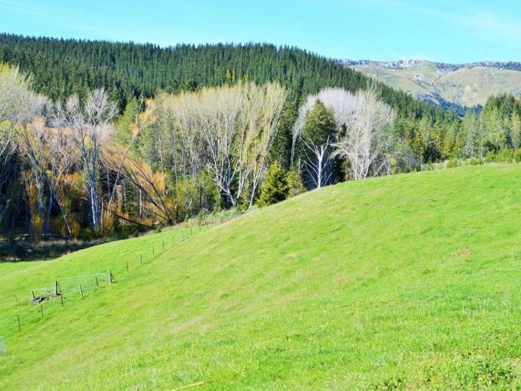 21 Crofts Road Waipara_16