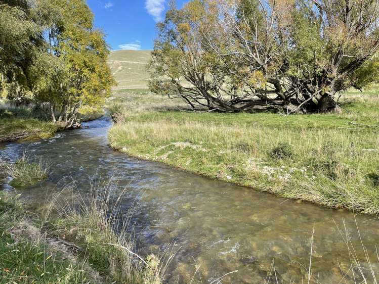 Kinney Road Chatto Creek_18