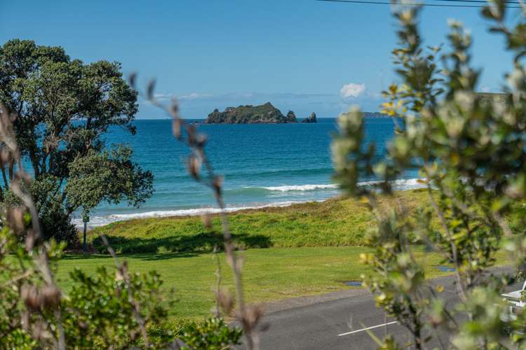 878 Black Jack Road Opito Bay_17