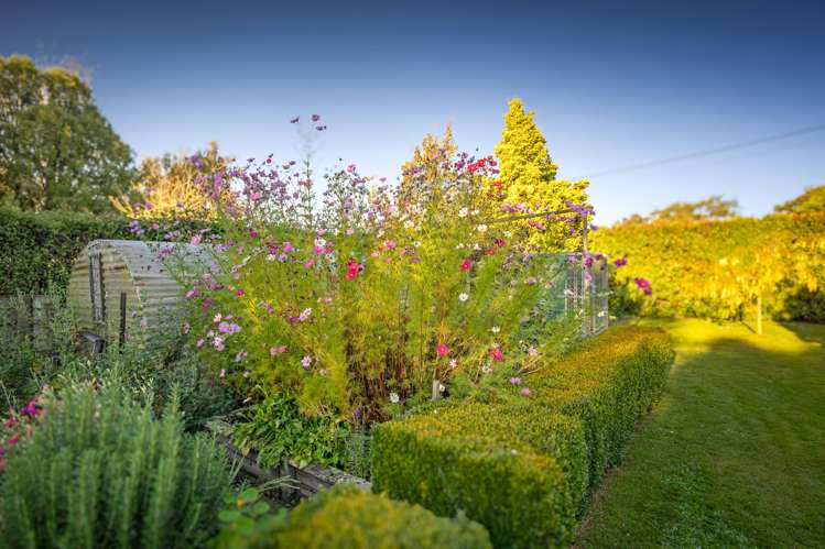 5/7 Rupert Street Waddington_9