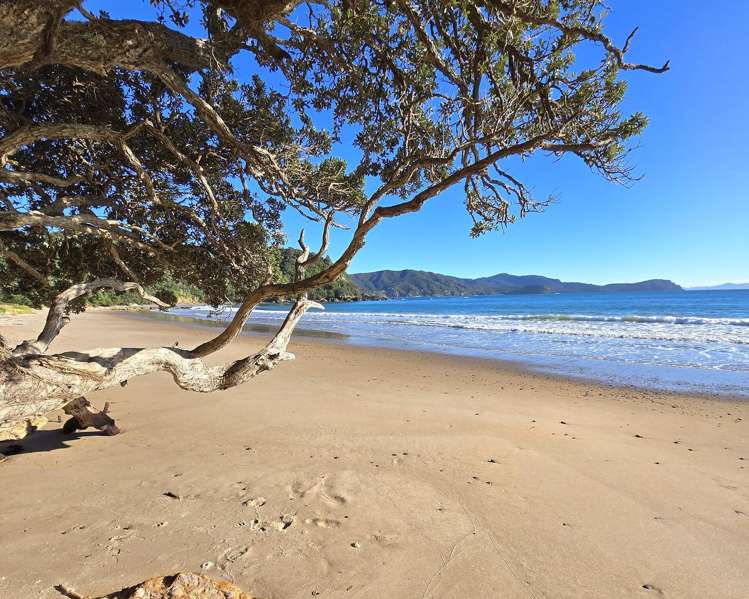 973 & 975 Tuateawa Road Little Bay_32