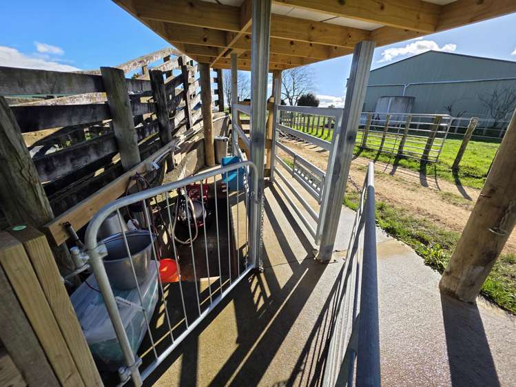 2/4798 Ohaupo Road Te Awamutu_24