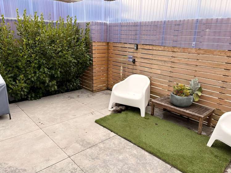 26D Wilford Street Wallaceville_13