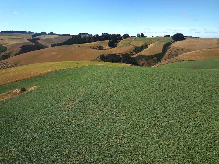 890 Mount Stuart Road Balclutha_24