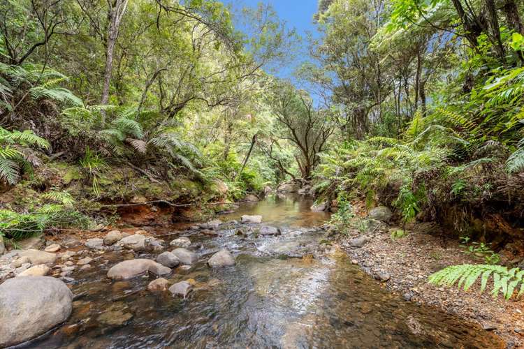 5 Silverstream Falls Row Whenuakite_16