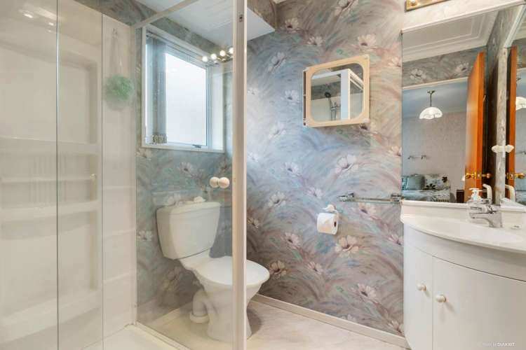 394a Hillsborough Road Mount Roskill_13