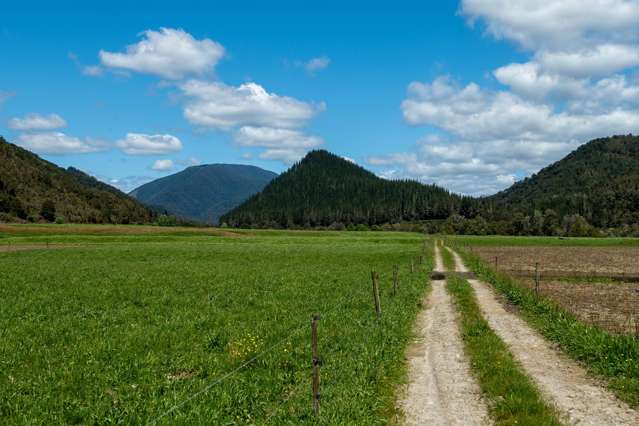 2154 Shenandoah Highway Murchison_2