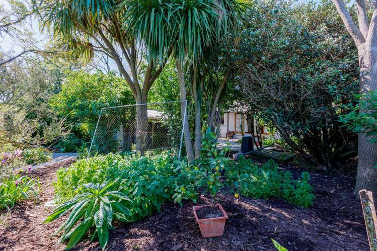 156 Cole Street Masterton_15