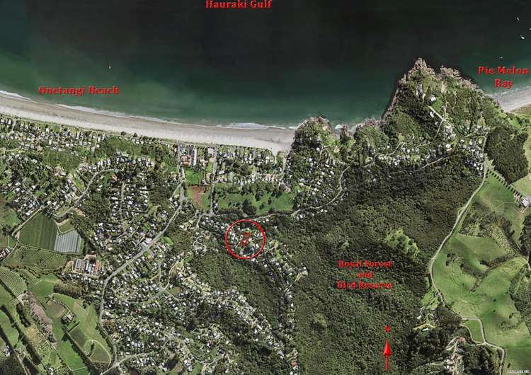 19 Victoria Road Onetangi_18