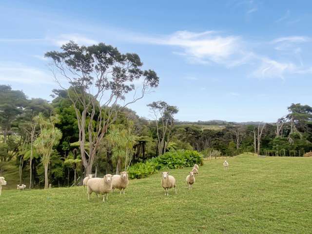 B/45 Bethells Road Waitakere_3