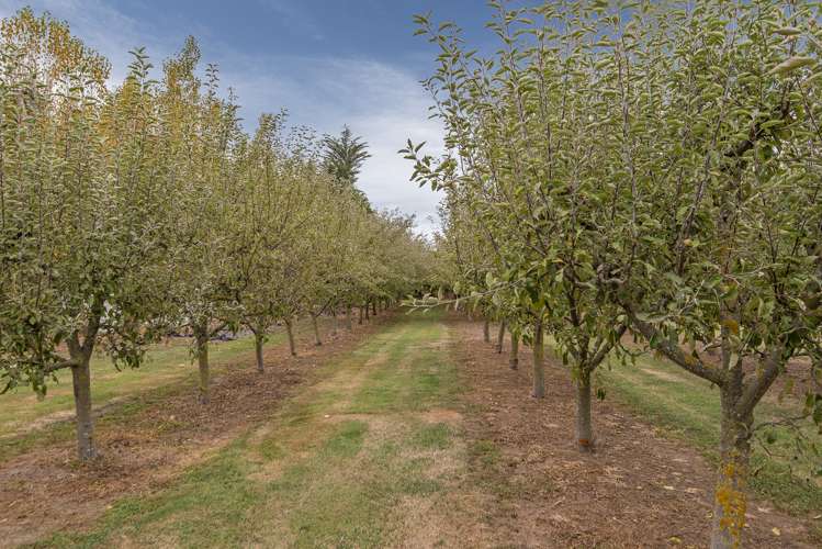 80 Carters Terrace Tinwald_15