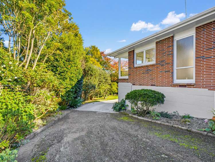 46b Grand Vue Road Kawaha Point_28