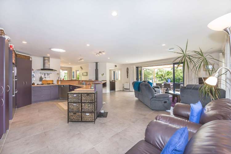 39 Postman Road Dairy Flat_9