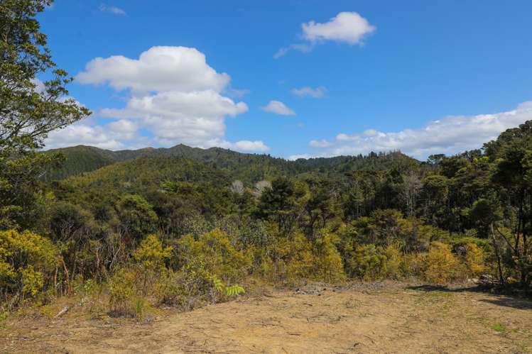 Lot 5 21 Waikawau Beach Road Little Bay_10