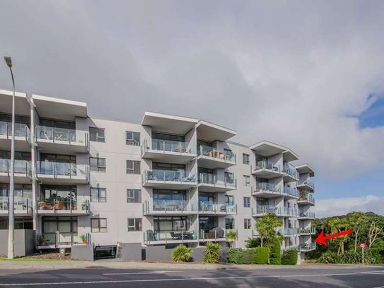 1b/6 Piwakawaka Street Eden Terrace_0