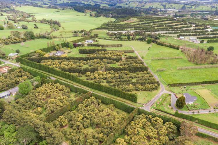 56 Thompsons Track Aongatete_20