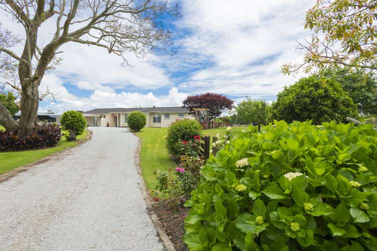 33 Caesar Road Ormond_16