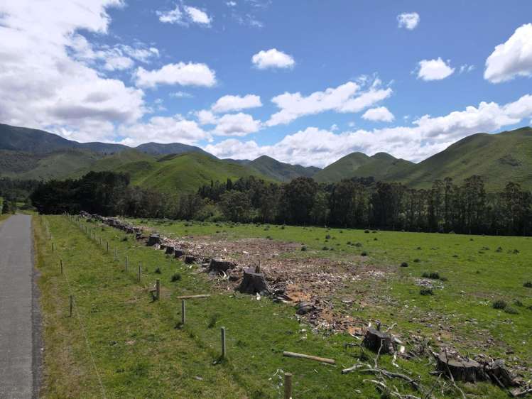 Lot Lot 1/9 Tamaki East Road Dannevirke_11