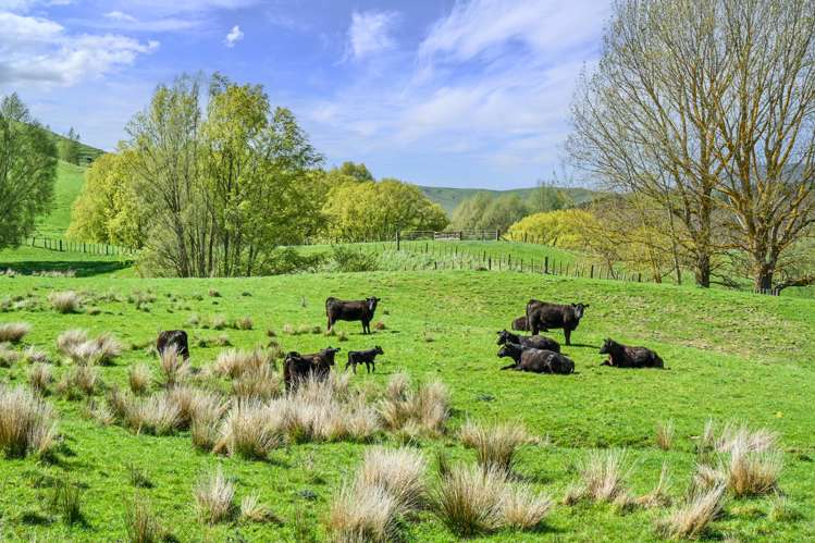 683 Bush Road Wallingford_20