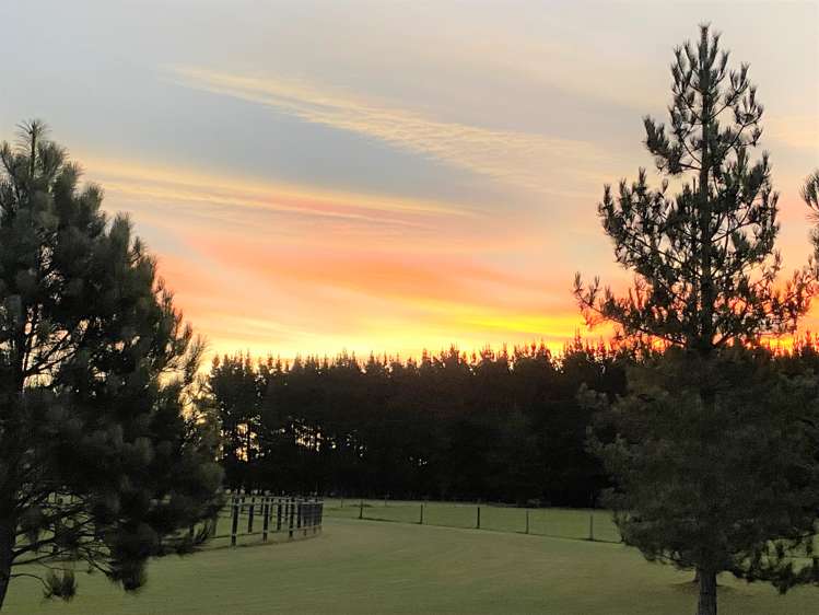 15 Onekiritea Road Hobsonville_11