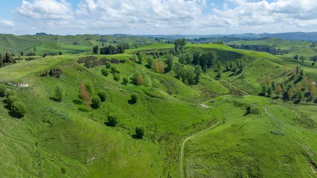 1163 Mangamako Road Ohingaiti_4