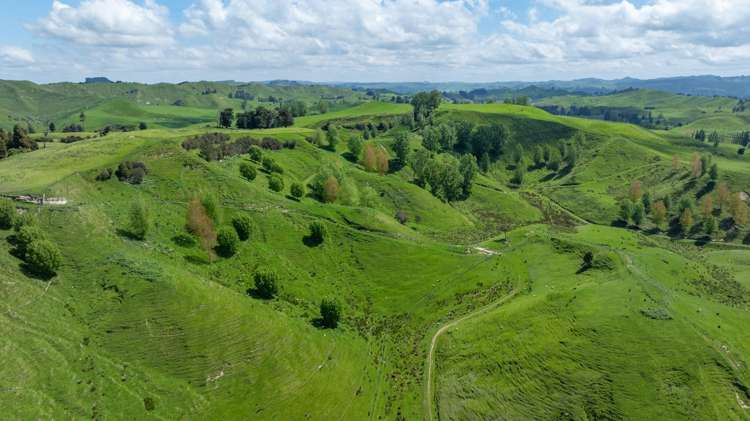 1163 Mangamako Road_4