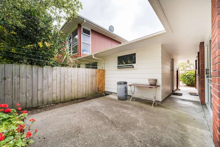 45 Dittmer Drive Awapuni_19