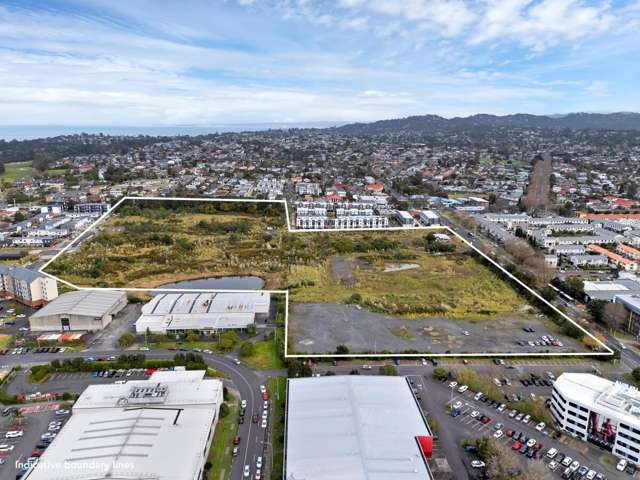 29 Crown Lynn Place New Lynn_1