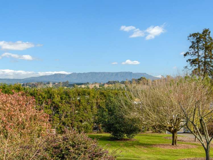 86 Prole Road Omokoroa_13