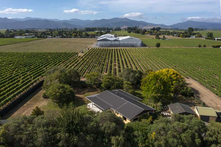 44 Rene Street Springlands_35