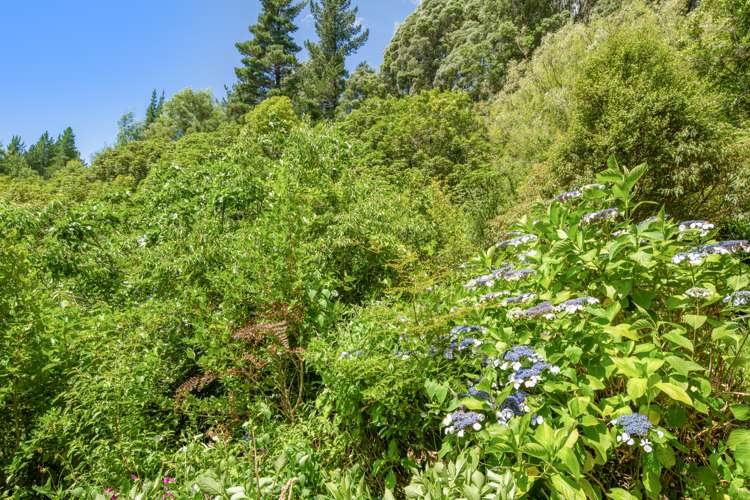 1160 Wakamarina Road Havelock_21