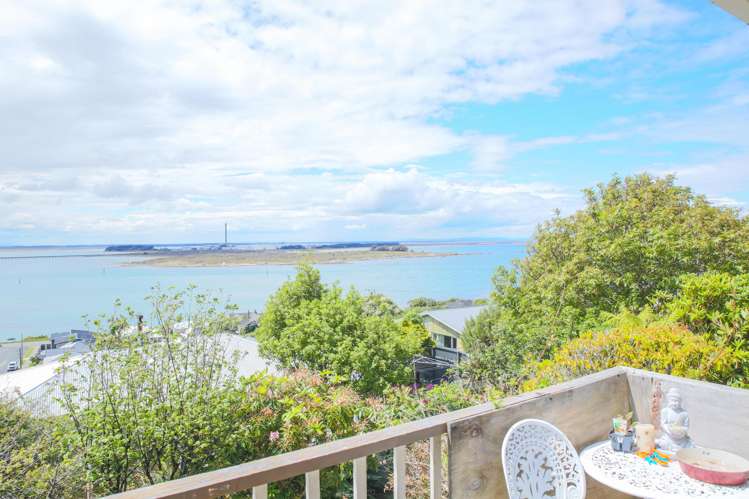 46 Walker Street Bluff_6